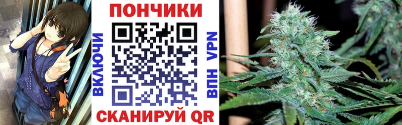 Где купить Новосокольники АМФ  Меф мяу мяу  Кокаин  ГАШ  Бошки Шишки 