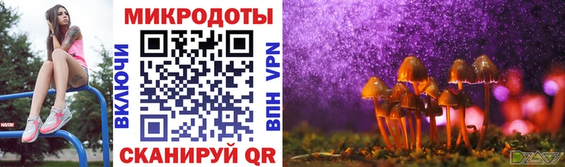 Псилоцибиновые грибы Magic Shrooms  дарнет шоп  гидра ССЫЛКА  Новосокольники 