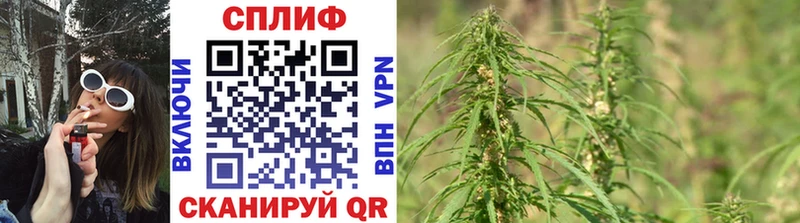 Бошки марихуана THC 21% Новосокольники